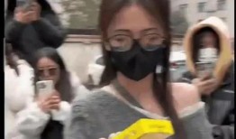 娱乐圈吃瓜爆料沙雕视频,沙雕视频背后的吃瓜风云